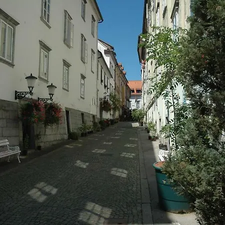 Apartman Vitez Ii *
