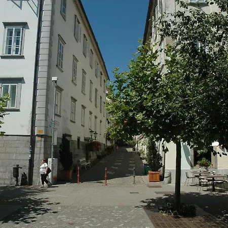 Apartmán Vitez Ii Lublaň