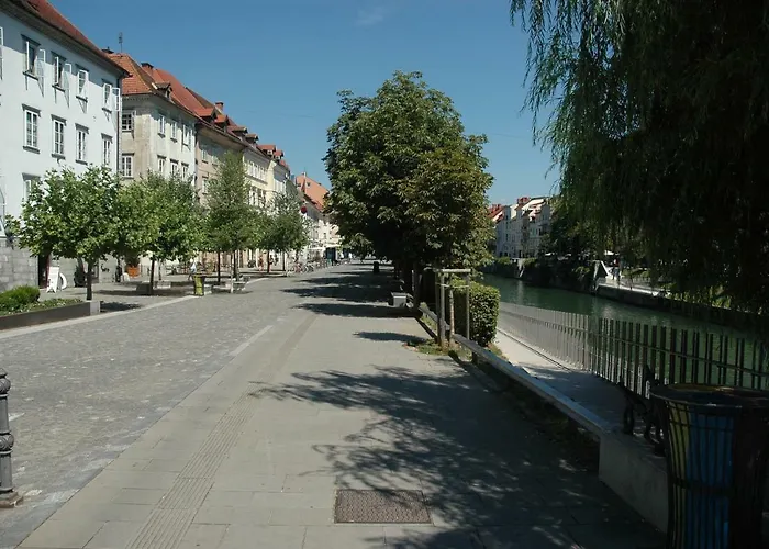 Vitez Ii Appartement